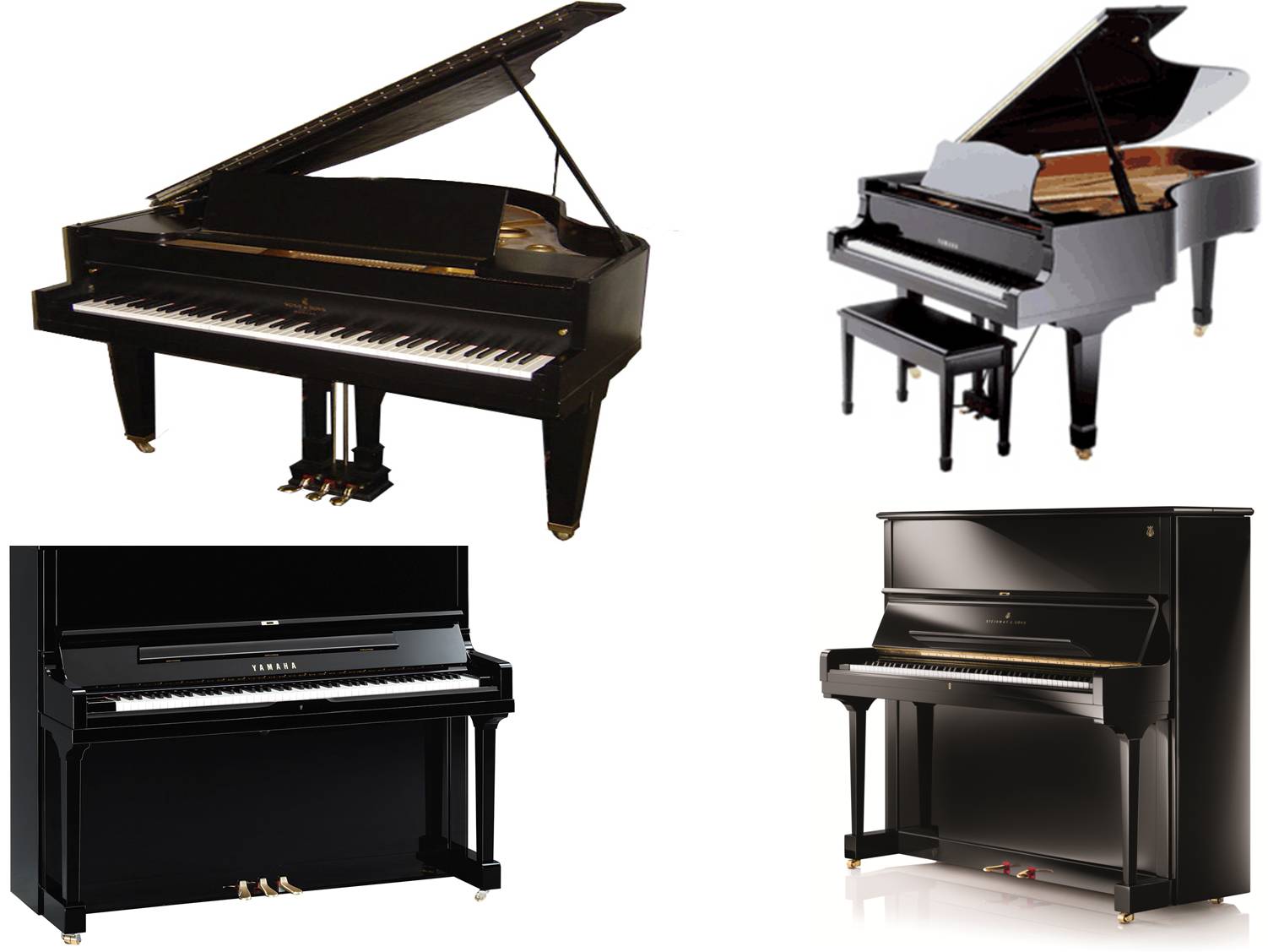 Grand Piano on rent in Pimpri Chinchwad